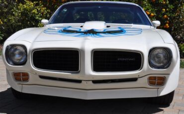 Pontiac-Firebird-trans-am-1973-White-Black-Deluxe
