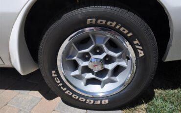 Pontiac-Firebird-trans-am-1973-White-Black-Deluxe-4