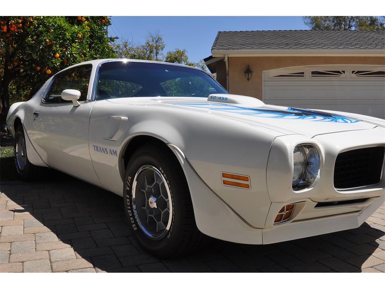 Pontiac-Firebird-trans-am-1973-White-Black-Deluxe-5