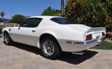 Pontiac-Firebird-trans-am-1973-White-Black-Deluxe-6
