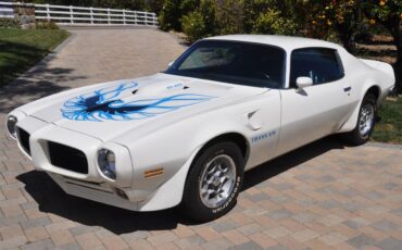 Pontiac-Firebird-trans-am-1973-White-Black-Deluxe-7