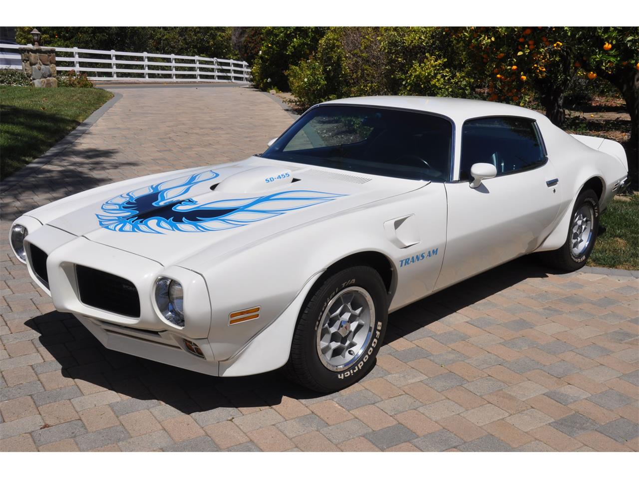Pontiac-Firebird-trans-am-1973-White-Black-Deluxe-7