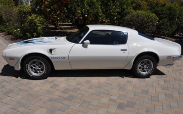 Pontiac-Firebird-trans-am-1973-White-Black-Deluxe-8