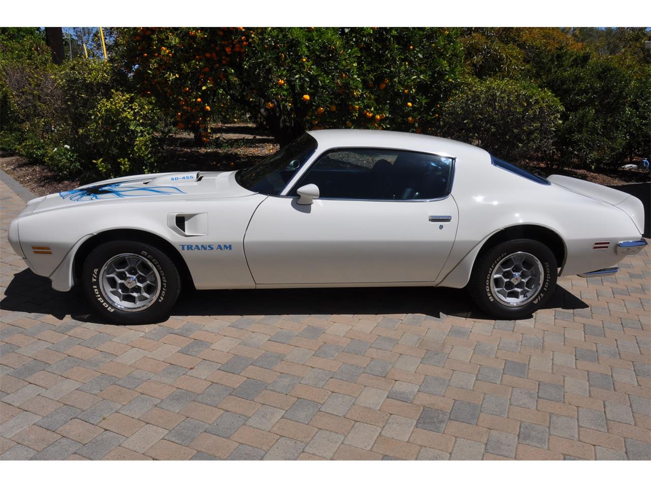 Pontiac-Firebird-trans-am-1973-White-Black-Deluxe-8
