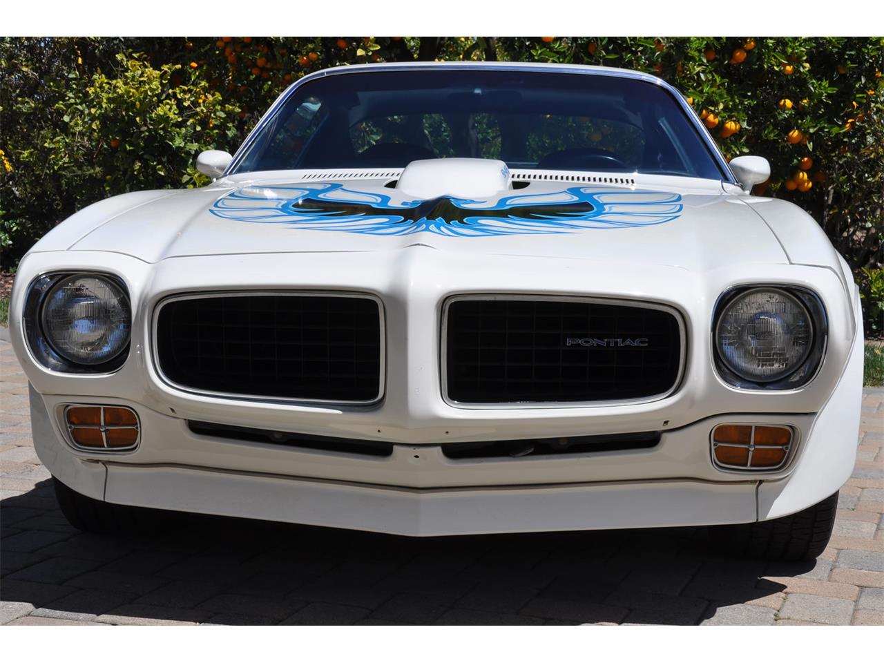 Pontiac-Firebird-trans-am-1973-White-Black-Deluxe