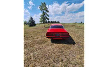 Pontiac-Firebird-trans-am-1974-Red-Black-and-red-13