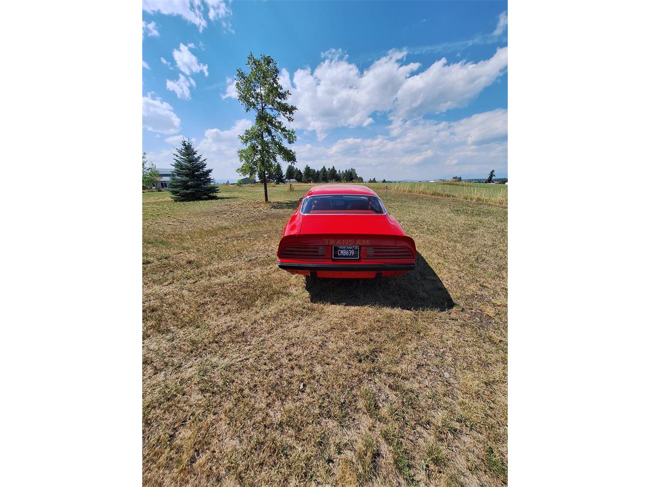 Pontiac-Firebird-trans-am-1974-Red-Black-and-red-13