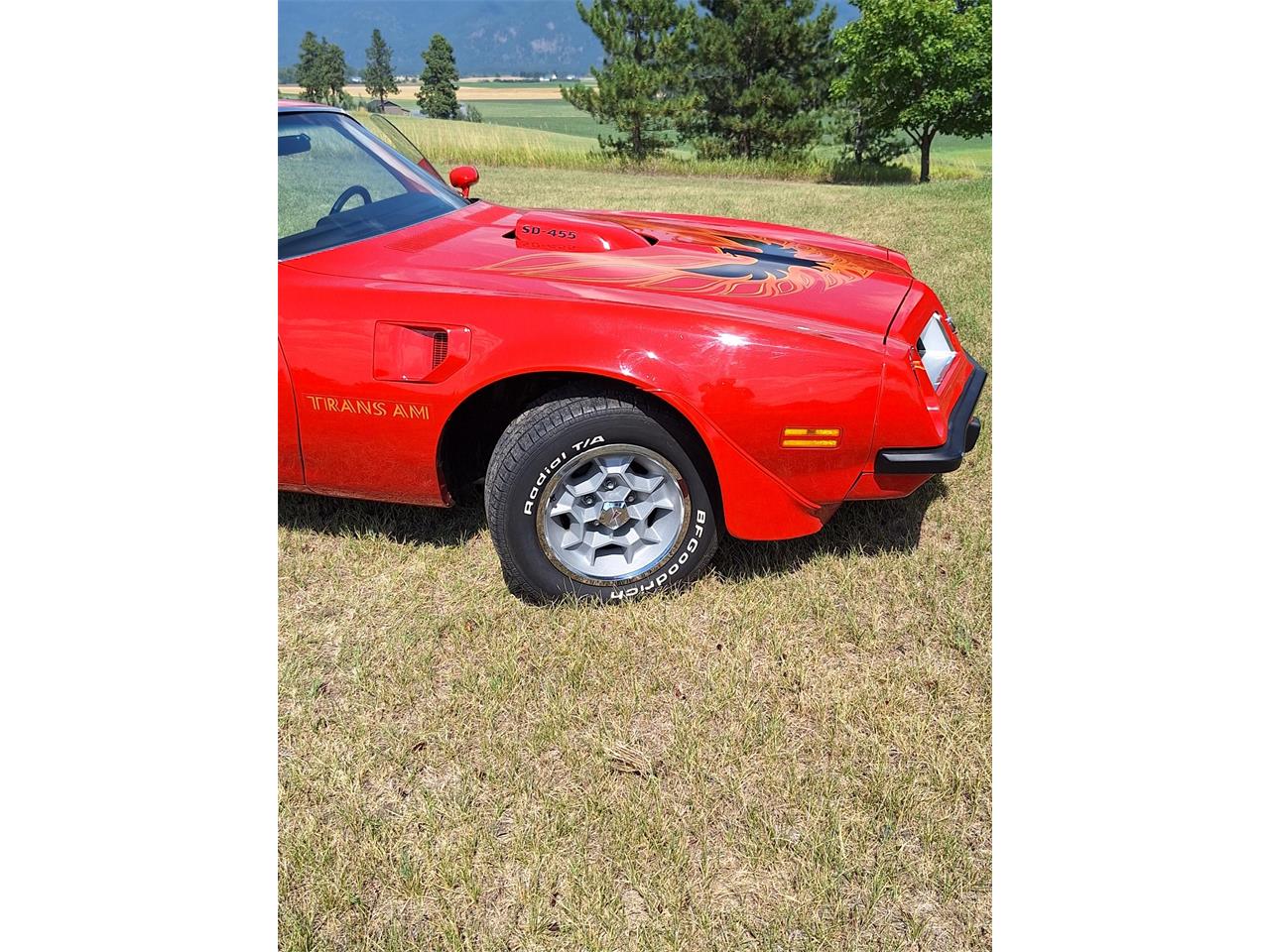 Pontiac-Firebird-trans-am-1974-Red-Black-and-red-7