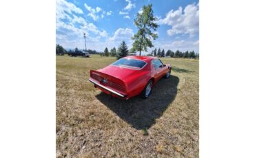 Pontiac-Firebird-trans-am-1974-Red-Black-and-red-9