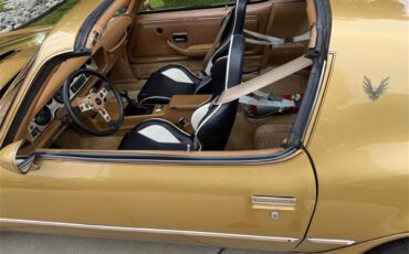 Pontiac-Firebird-trans-am-1978-Solar-Gold-Camel-Tan-Black-10