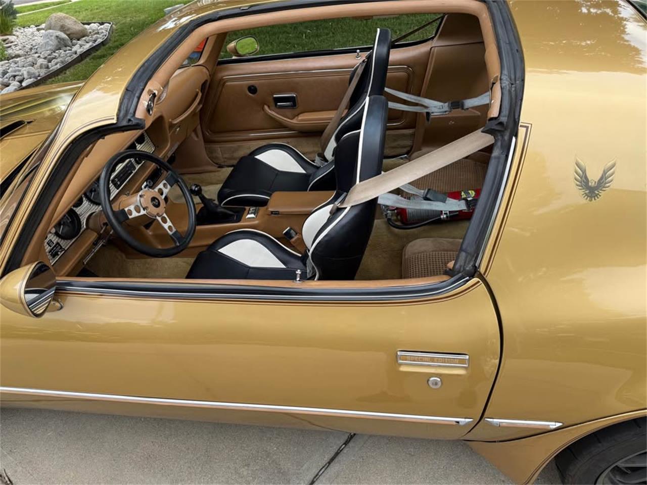 Pontiac-Firebird-trans-am-1978-Solar-Gold-Camel-Tan-Black-10