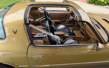 Pontiac-Firebird-trans-am-1978-Solar-Gold-Camel-Tan-Black-11