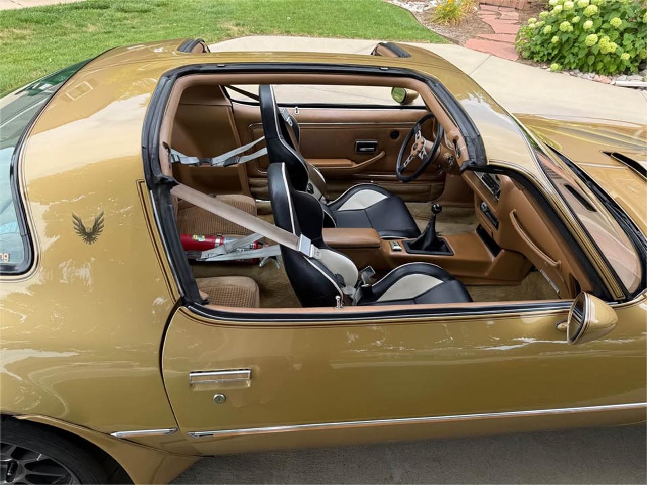 Pontiac-Firebird-trans-am-1978-Solar-Gold-Camel-Tan-Black-11