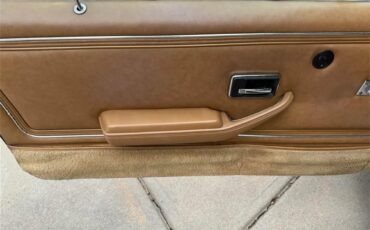 Pontiac-Firebird-trans-am-1978-Solar-Gold-Camel-Tan-Black-12