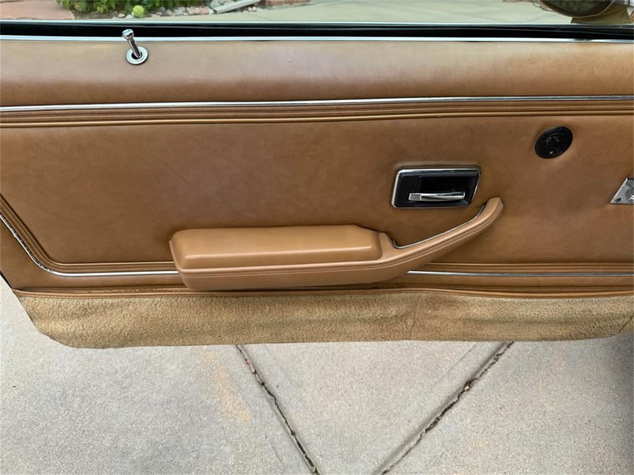 Pontiac-Firebird-trans-am-1978-Solar-Gold-Camel-Tan-Black-12