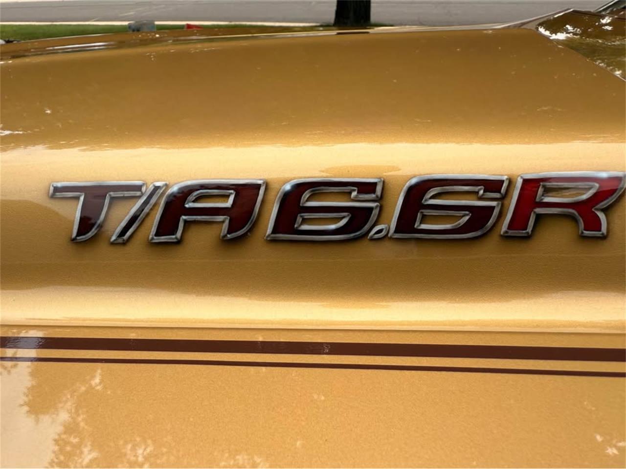 Pontiac-Firebird-trans-am-1978-Solar-Gold-Camel-Tan-Black-13