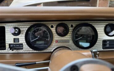 Pontiac-Firebird-trans-am-1978-Solar-Gold-Camel-Tan-Black-15