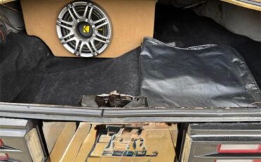 Pontiac-Firebird-trans-am-1978-Solar-Gold-Camel-Tan-Black-16