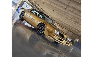 Pontiac-Firebird-trans-am-1978-Solar-Gold-Camel-Tan-Black-18
