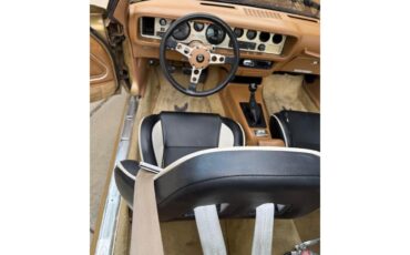 Pontiac-Firebird-trans-am-1978-Solar-Gold-Camel-Tan-Black-2