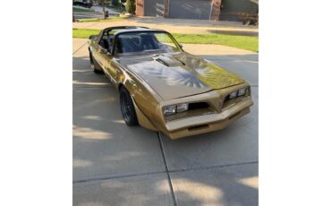 Pontiac-Firebird-trans-am-1978-Solar-Gold-Camel-Tan-Black-4
