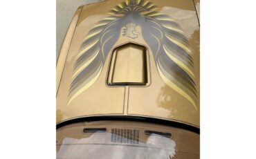 Pontiac-Firebird-trans-am-1978-Solar-Gold-Camel-Tan-Black-5