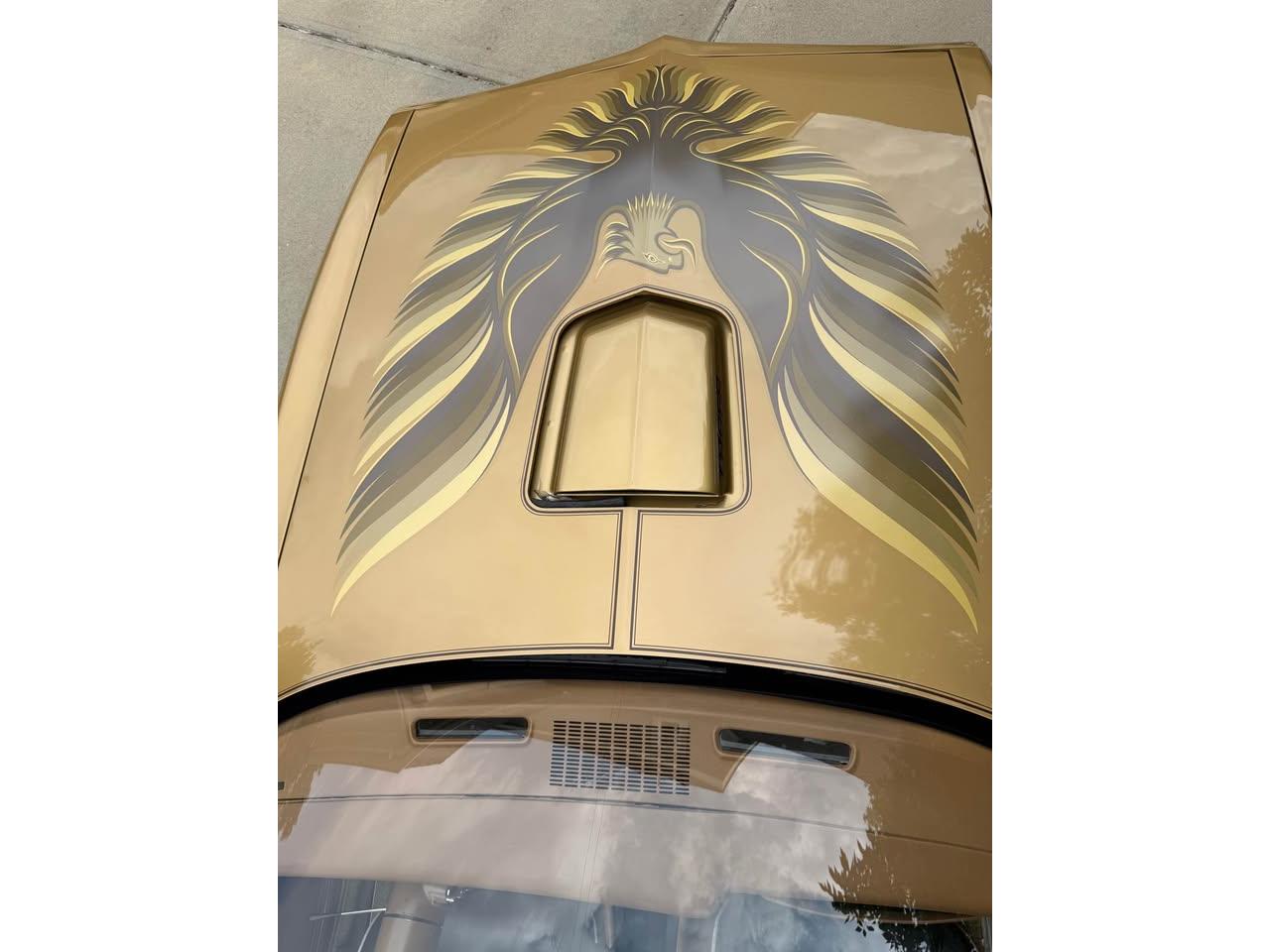 Pontiac-Firebird-trans-am-1978-Solar-Gold-Camel-Tan-Black-5