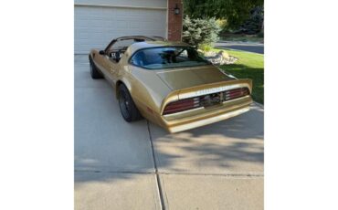 Pontiac-Firebird-trans-am-1978-Solar-Gold-Camel-Tan-Black-7