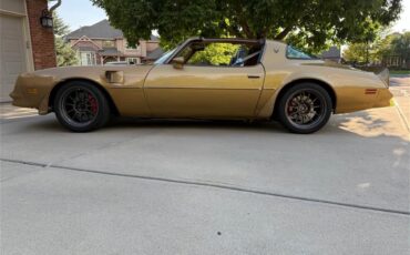 Pontiac-Firebird-trans-am-1978-Solar-Gold-Camel-Tan-Black-8