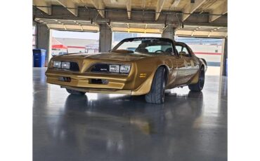 Pontiac-Firebird-trans-am-1978-Solar-Gold-Camel-Tan-Black-9