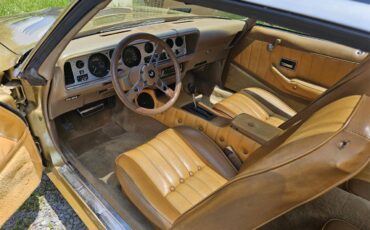Pontiac-Firebird-trans-am-1979-Gold-Gold-1