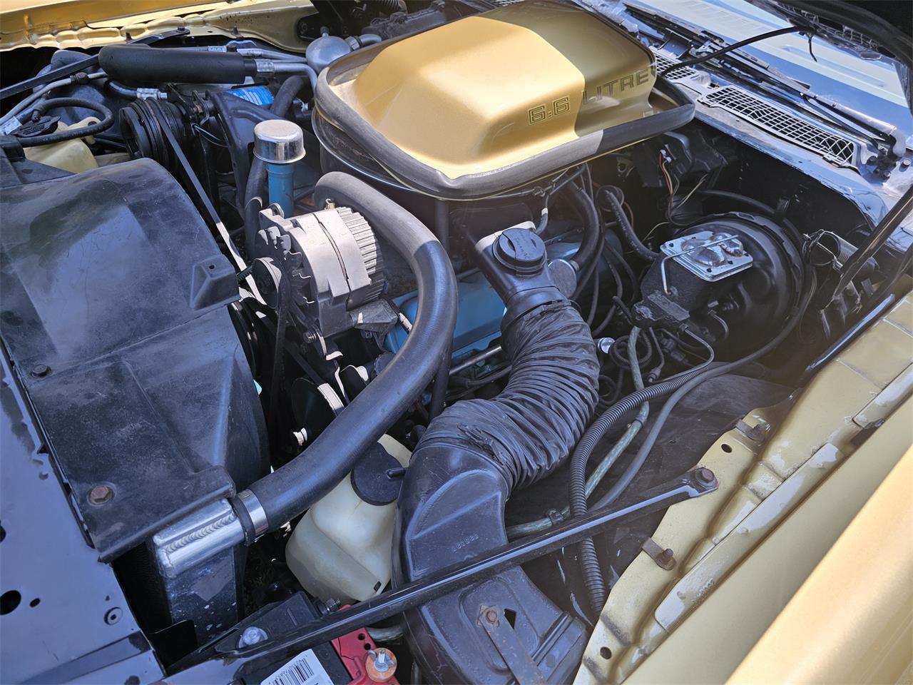 Pontiac-Firebird-trans-am-1979-Gold-Gold-10