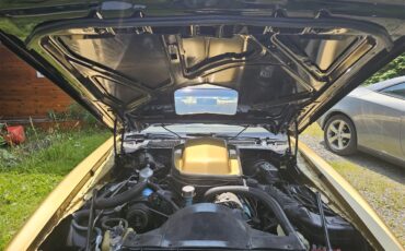Pontiac-Firebird-trans-am-1979-Gold-Gold-12