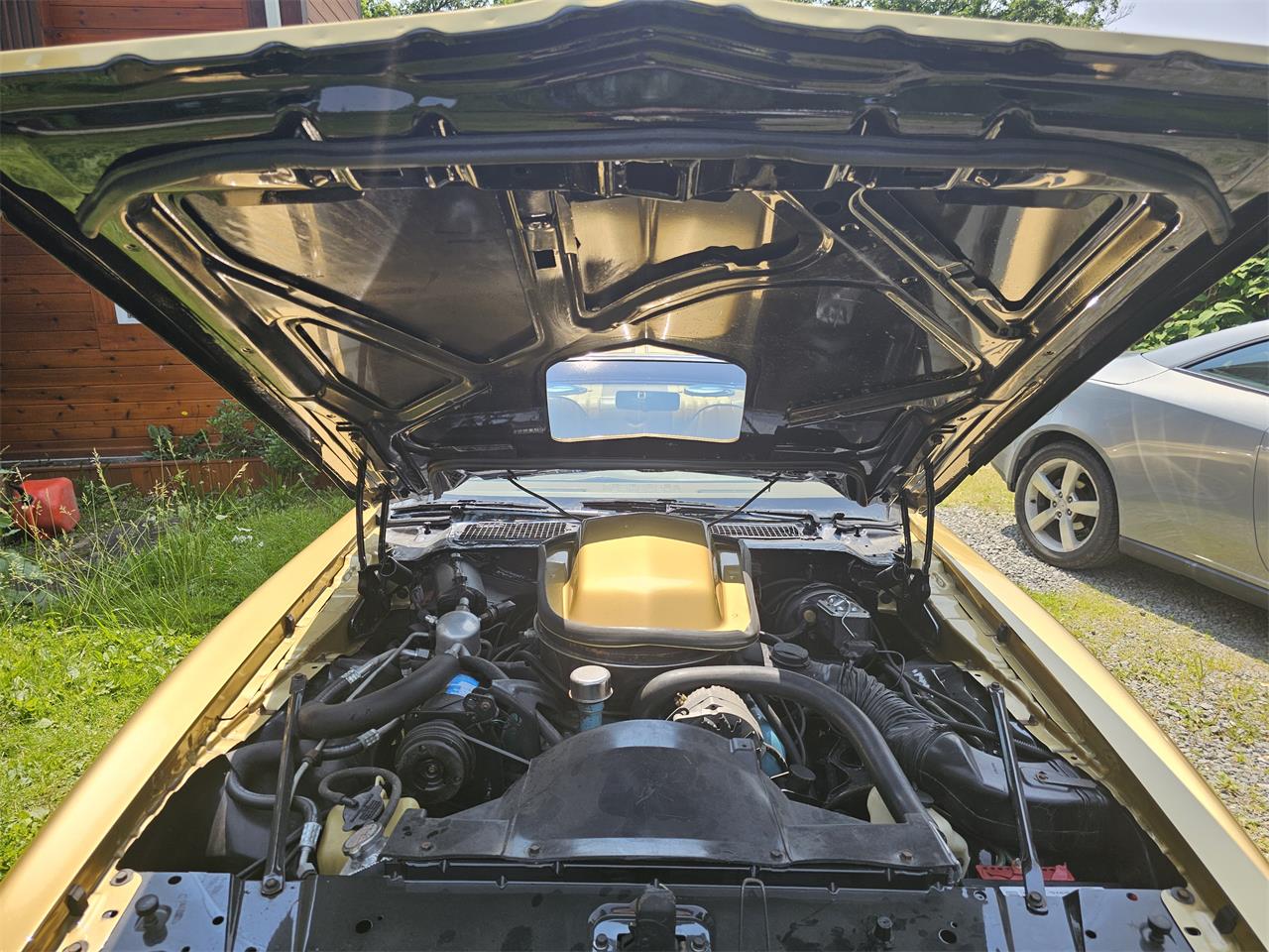 Pontiac-Firebird-trans-am-1979-Gold-Gold-12
