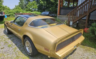 Pontiac-Firebird-trans-am-1979-Gold-Gold-16