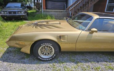 Pontiac-Firebird-trans-am-1979-Gold-Gold-17