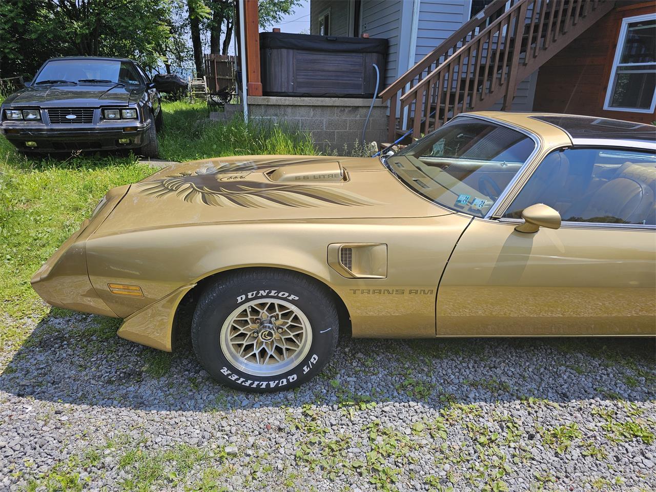 Pontiac-Firebird-trans-am-1979-Gold-Gold-17