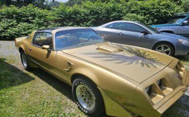 Pontiac-Firebird-trans-am-1979-Gold-Gold-2