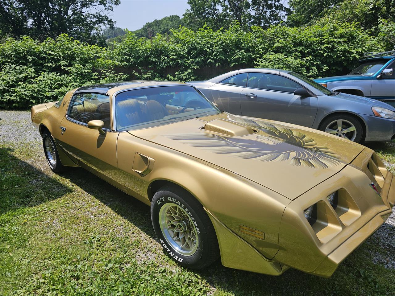 Pontiac-Firebird-trans-am-1979-Gold-Gold-2