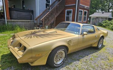 Pontiac-Firebird-trans-am-1979-Gold-Gold-3