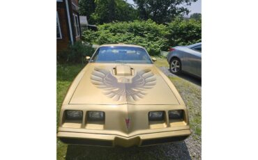 Pontiac-Firebird-trans-am-1979-Gold-Gold
