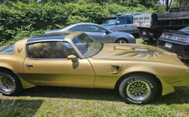 Pontiac-Firebird-trans-am-1979-Gold-Gold-4