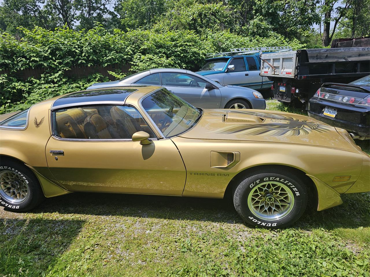 Pontiac-Firebird-trans-am-1979-Gold-Gold-4