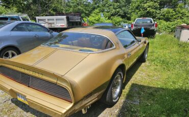 Pontiac-Firebird-trans-am-1979-Gold-Gold-5