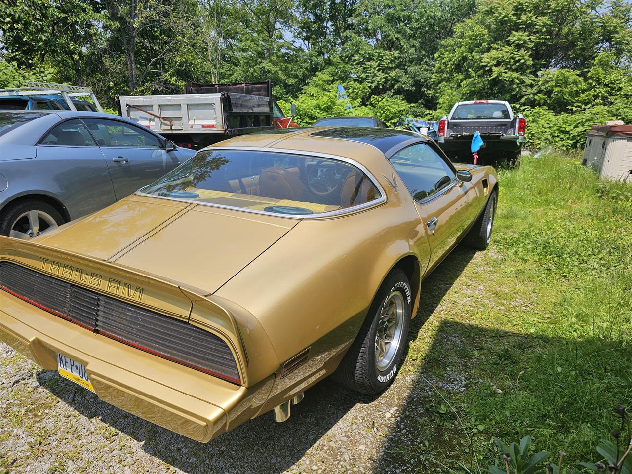 Pontiac-Firebird-trans-am-1979-Gold-Gold-5