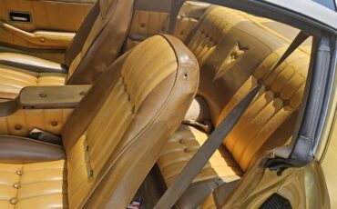 Pontiac-Firebird-trans-am-1979-Gold-Gold-6