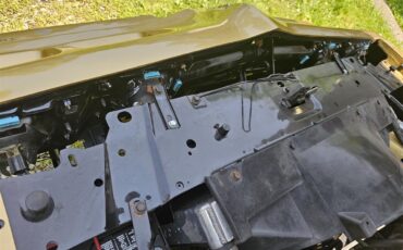Pontiac-Firebird-trans-am-1979-Gold-Gold-9
