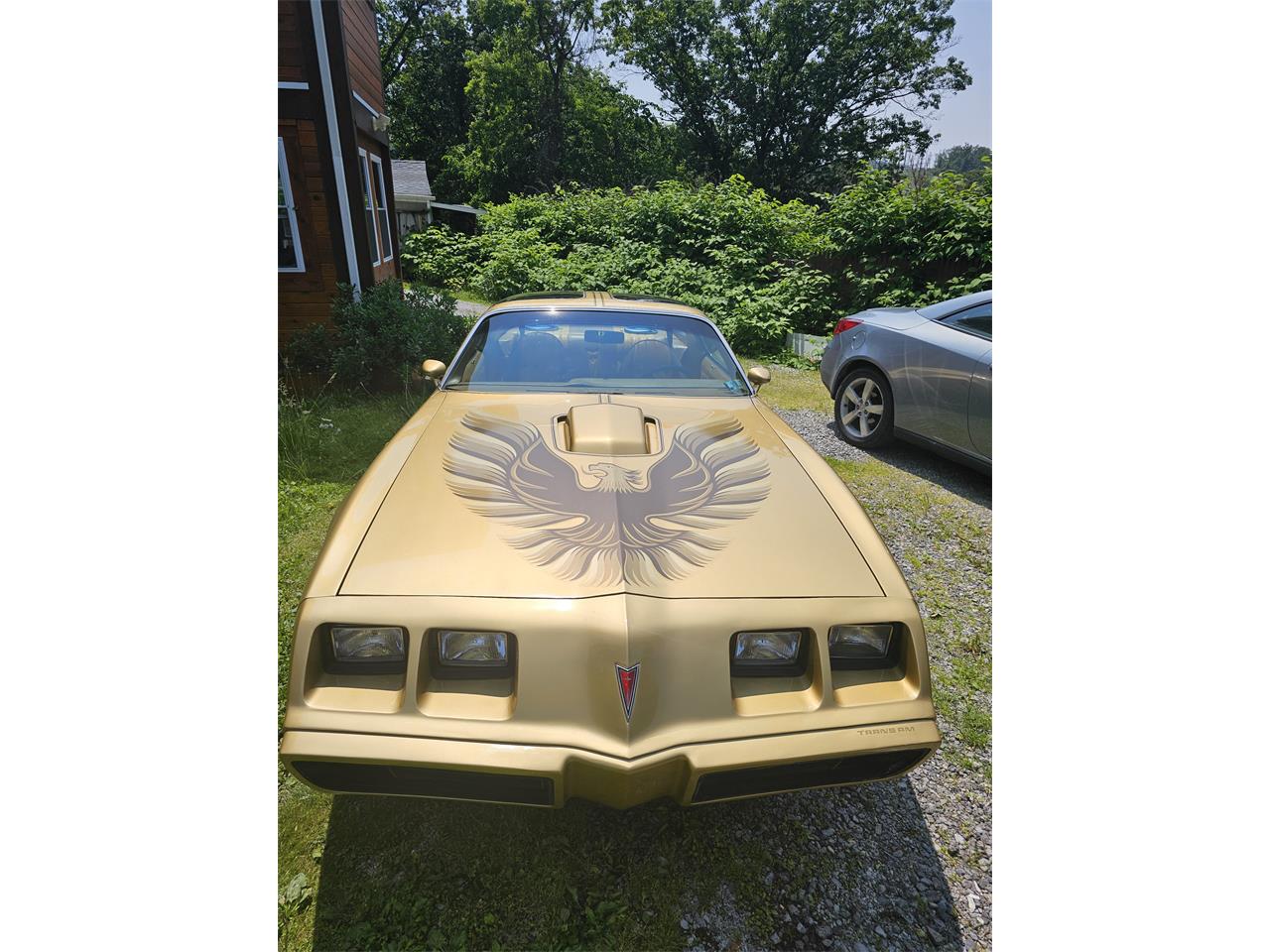 Pontiac-Firebird-trans-am-1979-Gold-Gold