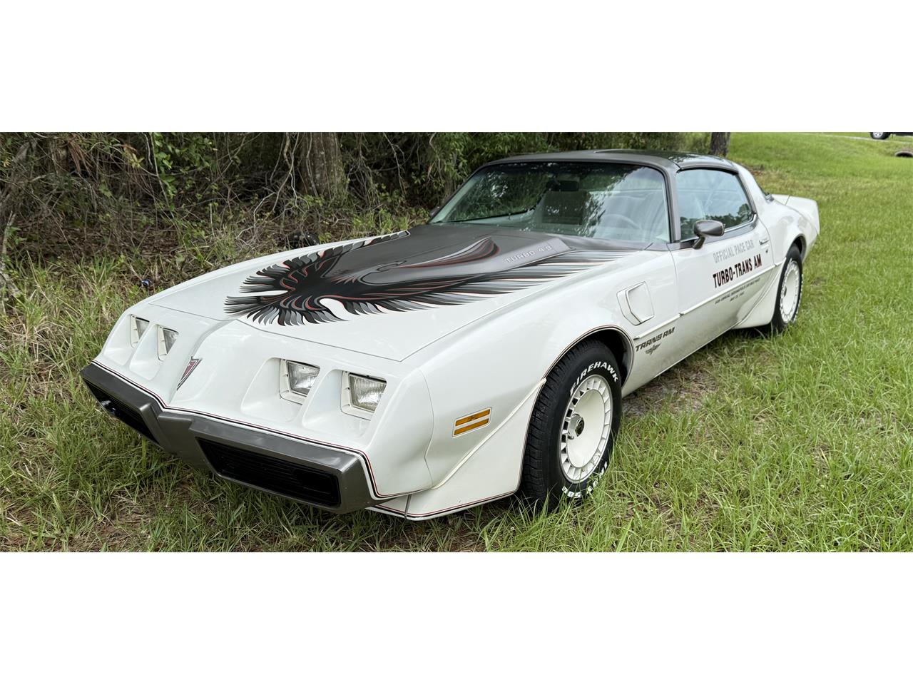 Pontiac-Firebird-trans-am-ws6-1980-Cameo-White-Oyster-Gray