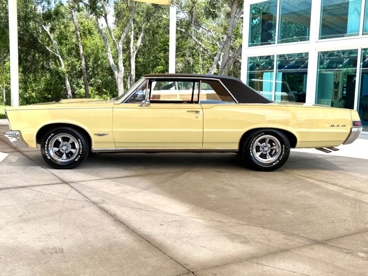 Pontiac-GTO-1965-Coupe-10